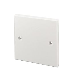 Allelectrics 1-Gang Blank Plate